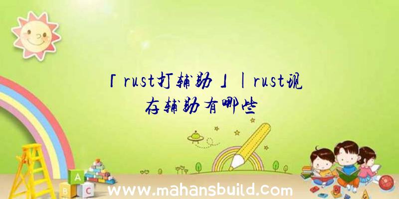 「rust打辅助」|rust现存辅助有哪些